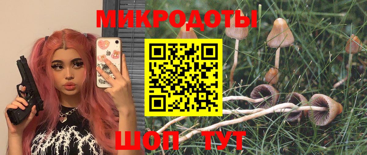 Галлюциногенные грибы GOLDEN TEACHER  Вход с VPN  Псилоцибиновые грибы мицелий  Киселёвск 